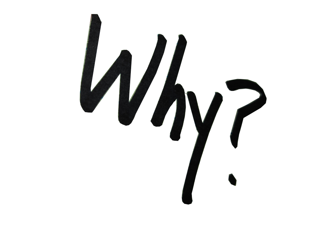 Why You Need Website !